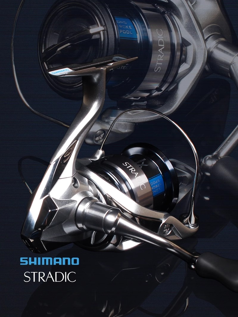 Mulinello da Pesca SHIMANO 23  - Daiwa Reel Bg recensione e prezzo